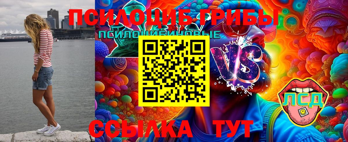 Псилоцибиновые грибы ЛСД Лесозаводск
