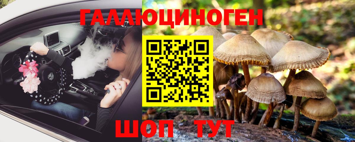 Псилоцибиновые грибы мицелий  Вход с VPN  Лесозаводск  Псилоцибиновые грибы мицелий 
